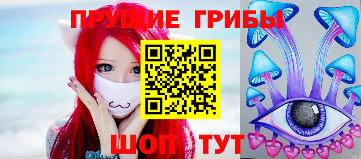 Псилоцибиновые грибы мицелий Ульяновск